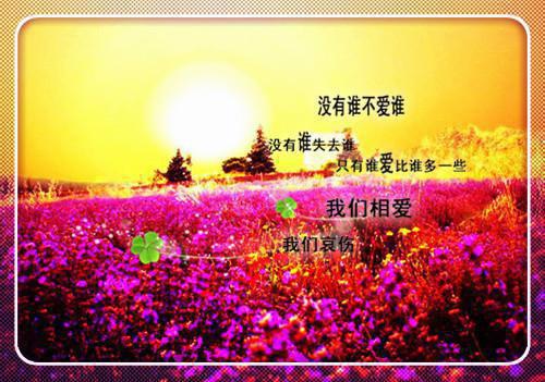 傅琰虞小芙（虞小芙傅琰）全文免费阅读无弹窗大结局_傅琰虞小芙(虞小芙傅琰免费阅读)（虞小芙傅琰）