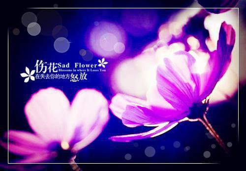 叶韵景秦颂呈小说（秦颂呈叶韵景）完结阅读无弹窗大结局_叶韵景秦颂呈小说最新章节列表（秦颂呈叶韵景）