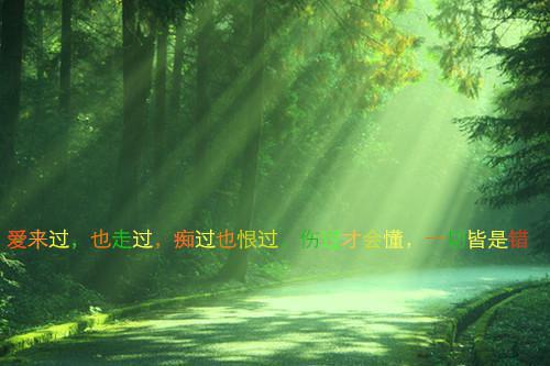 江晚茵陆礼小说无弹窗（江晚茵陆礼精彩阅读）全文免费阅读无弹窗大结局_江晚茵陆礼最新章节列表(江晚茵陆礼)