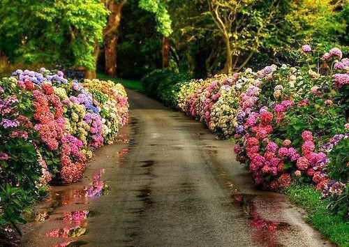 奚明悦蒋绍(一见钟情:替身竟是男神自己)全文免费阅读无弹窗大结局_奚明悦蒋绍完整版小说阅读(一见钟情:替身竟是男神自己)