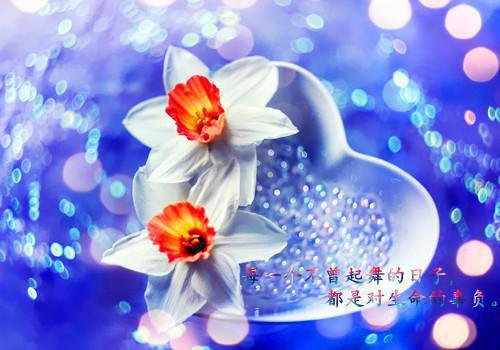 陆明月傅枭（陆明月傅枭）全文免费阅读无弹窗_陆明月傅枭最新章节列表（陆明月傅枭）
