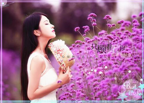 恋人以悲伤为食懒冰冰小说免费阅读