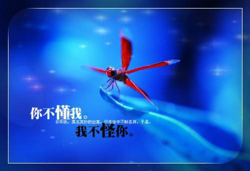 姜幼柠季泽栩全文（姜幼柠季泽栩）全文免费阅读无弹窗大结局_(姜幼柠季泽栩)姜幼柠季泽栩全文最新章节列表（姜幼柠季泽栩全文）