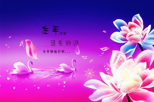 (番外)+(全文)重生后我成了家族至尊：云清婉景予小说免费下载阅读_(景予云清婉)重生后我成了家族至尊：云清婉景予最新章节列表（景予云清婉）