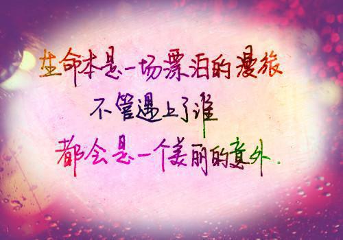 热门榜单（舒心语温琛景）温琛景舒心语小说免费阅读完结版全文_温琛景舒心语最新章节无弹窗（舒心语温琛景）