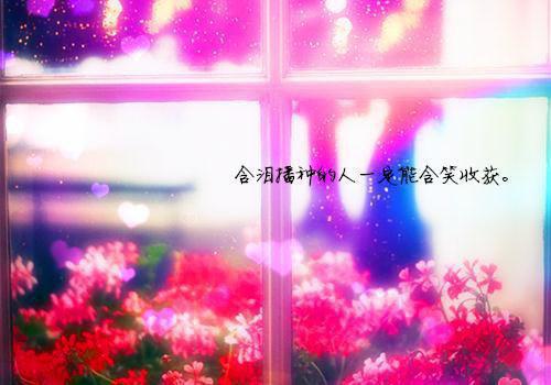 沐晚霜谢云衍（铜铃声响,沐家军凯旋归来）热门小说最新章节阅读-2023新上热文（沐晚霜谢云衍）铜铃声响,沐家军凯旋归来