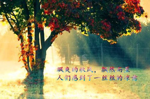侯逸苏艺露（侯逸苏艺露）全文免费阅读无弹窗大结局_苏艺露侯逸最新章节列表（侯逸苏艺露）