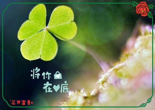 悟性逆天：高考悟道，手撕电磁炮（苏勤）全文免费阅读无弹窗大结局_悟性逆天：高考悟道，手撕电磁炮最新章节列表（苏勤）