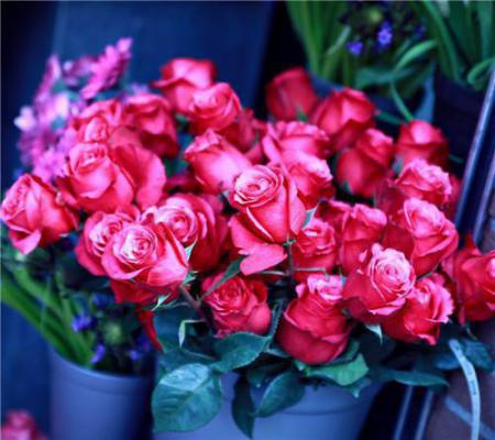 周昕薇芳茹全文免费阅读(梦月媚狐小说)全文免费周昕薇芳茹读无弹窗大结局_(梦月媚狐小说周昕薇芳茹)梦月媚狐小说最新章节列表(周昕薇芳茹)