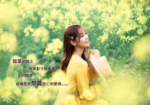 楚清歌谢霁川小说（楚清歌谢霁川小说）全文免费阅读无弹窗大结局_楚清歌谢霁川免费阅读最新章节列表（楚清歌谢霁川）