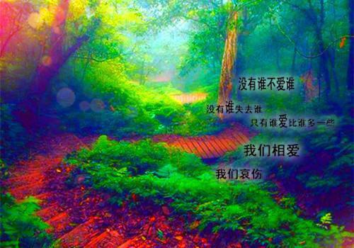 温舒惜邵延靳免费（邵延靳温舒惜）完整全文在线阅读_温舒惜邵延靳免费免费阅读全章节目录（邵延靳温舒惜）