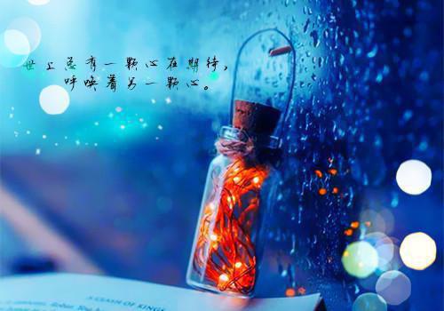 顾良辰张雪琪（为了救白月光,老婆割了我的颈）全文在线顾良辰张雪琪读无弹窗结局_（为了救白月光,老婆割了我的颈顾良辰张雪琪）为了救白月光,老婆割了我的颈结局章节列表（顾良辰张雪琪）