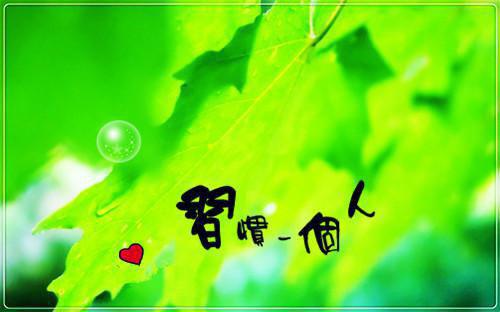 温简晗邵时岑全文(温简晗邵时岑小说)小说免费阅读无弹窗大结局_温简晗邵时岑小说全文无弹窗完整版阅读