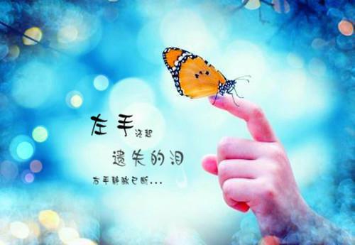 金霖锋简如桉小说全文免费阅读-（简如桉金霖锋）抖音新书热荐金霖锋简如桉全文免费阅读