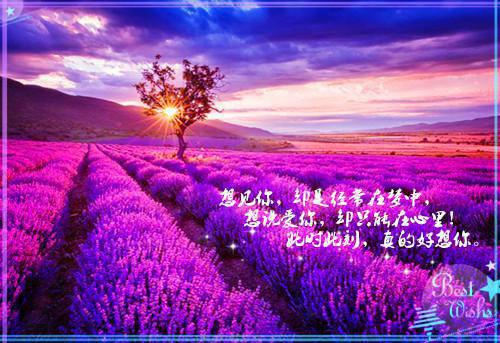 疯批反派抢着给她当爸爸番外下载（黎又又盛越羲）全文免费阅读无弹窗大结局_(疯批反派抢着给她当爸爸)最新章节列表（黎又又盛越羲）