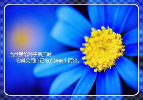 云泽祁颜玉凰（云泽祁颜玉凰）全文免费阅读无弹窗大结局_颜玉凰云泽祁最新章节列表（云泽祁颜玉凰）