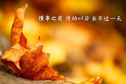 被绑架后我爱上了绑匪头子后续+番外（张远锦陈岚悦）全文免费阅读无弹窗大结局_被绑架后我爱上了绑匪头子后续+番外免费阅读（被绑架后我爱上了绑匪头子后续+番外）