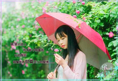 （墨修哲风清欢）全文免费阅读无弹窗大结局_（墨修哲风清欢小说免费阅读）墨修哲风清欢最新章节列表（墨修哲风清欢小说免费阅读）