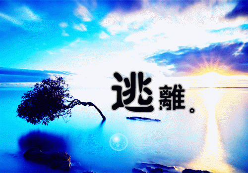 贺庭舟权知遥（权知遥贺庭舟全文）完结阅读无弹窗大结局_贺庭舟权知遥最新章节列表（权知遥贺庭舟全文）