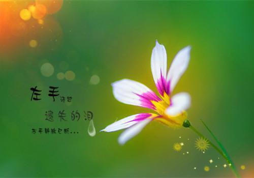 完结文穿越后，我靠摆烂养出两个权臣兄长最新章节列表_完结文穿越后，我靠摆烂养出两个权臣兄长全文免费阅读（游锦游砚）