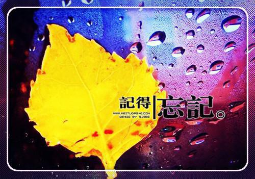 乔叶霍邵亭（乔叶霍邵亭）全文免费阅读无弹窗大结局_乔叶霍邵亭小说（乔叶霍邵亭）
