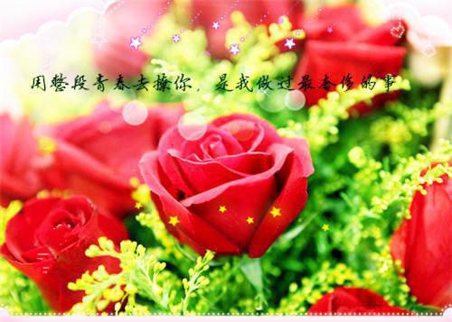 仙帝回归，备战高考！陈宇林凌雨全本免费小说目录试读