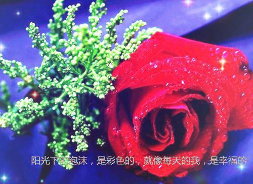 祝旋覆任家兄弟是考科举因夫掉命，男尊女贵挺难活的小说（祝旋覆任家兄弟）免费读_小说免费考科举因夫掉命，男尊女贵挺难活读