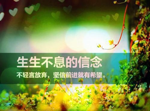 孟聿川舒渺（孟聿川舒渺小说）全文免费阅读无弹窗大结局_孟聿川舒渺最新章节列表（孟聿川舒渺小说）