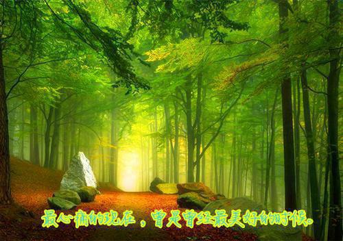 宋清晏苏文蕴（苏文蕴宋清晏）全文免费阅读无弹窗大结局_苏文蕴宋清晏最新章节列表（宋清晏苏文蕴）