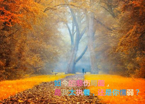林毅（林毅）全文免费阅读无弹窗大结局_林毅：解散后一首海阔天空火遍全网最新章节列表（林毅）