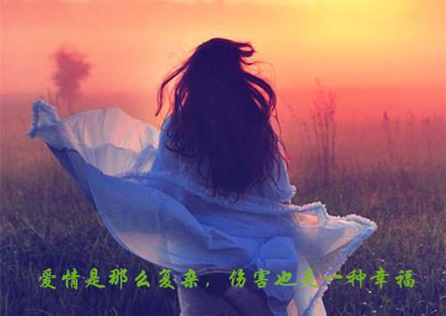 余清窈谢韫之小说免费阅读