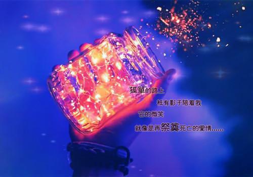 《爱你是一种悲伤》白汐纪辰凌小说阅读