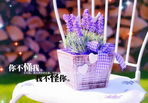 陆驭城顾安然（顾安然陆驭城）全文无弹窗阅读-陆驭城顾安然（顾安然陆驭城）最新章节完整版阅读