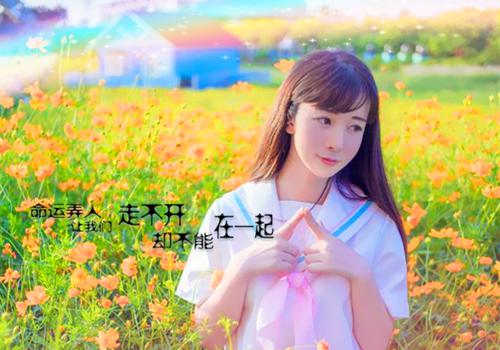 纪安宁闻泽辛全文免费（闻泽辛纪安宁）完整全文在线阅读_纪安宁闻泽辛全文免费免费阅读全章节目录（闻泽辛纪安宁）