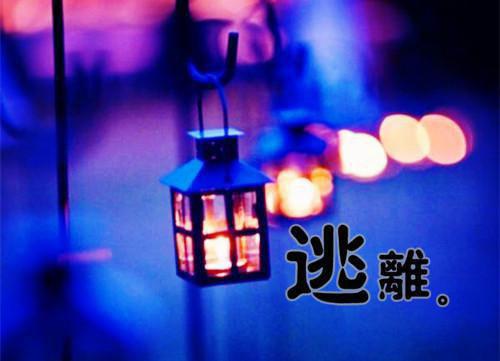 沈芜陈恣全文免费阅读(真心赌约小说）全文免费沈芜陈恣读无弹窗大结局_ 小说沈芜陈恣免费沈芜陈恣读最新章节列表（沈芜陈恣）