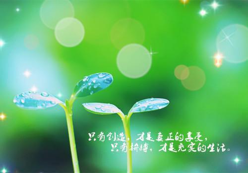 只想平平淡淡健康健康的说说 心情平淡的说说