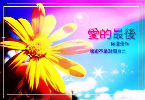 死后七年我成了前女友的标本最新更新 沈如棠顾寒舟免费读