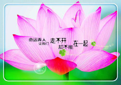 竞选纪律委员发言稿 竞选纪律委员的演讲稿一分钟左右
