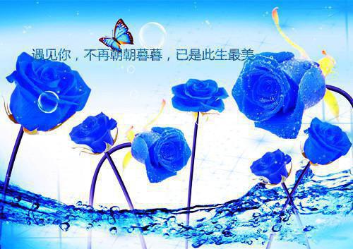 中考100天誓师大会家长代表发言稿（精选3篇）