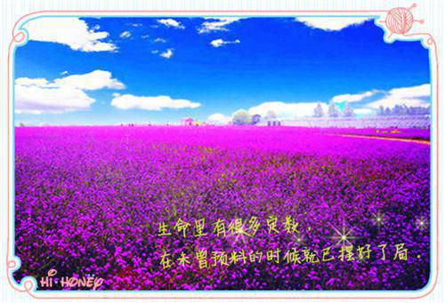 校园最强狂少王乐业全文阅读 校园最强狂少左手右边