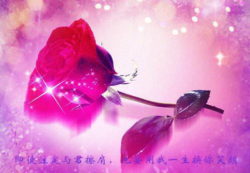 孟诗商庭州夏婉婉小说在哪里看 孟诗商庭州夏婉婉在线阅读第1章