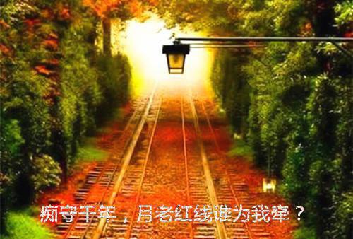 (番外)+(全文)顾明烟谢晏辞全文免费（谢晏辞顾明烟 ）全文免费阅读无弹窗大结局_(顾明烟谢晏辞)最新章节列表（谢晏辞顾明烟 ）