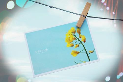 长宁手段全文免费阅读(长宁手段小说)全文免费明蕊云江蓉读无弹窗大结局_ 长宁手段小说免费明蕊云江蓉读最新章节列表（明蕊云江蓉）