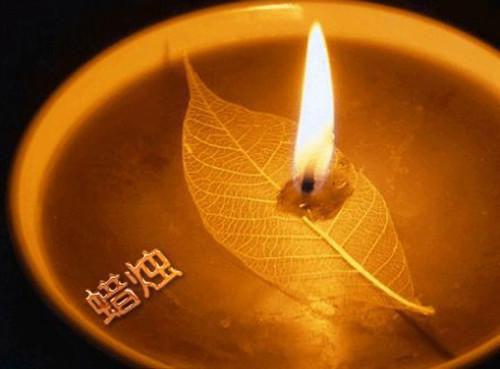 程十凰、徐泽瑜（程十凰、徐泽瑜）全文免费阅读无弹窗大结局_徐泽瑜程十凰新章节列表（程十凰、徐泽瑜）