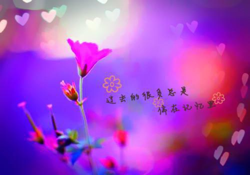 完结小说《相爱有效期》谢闻江凝贺砚庭全文免费阅读