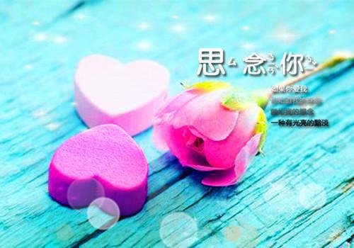 路悠言苏牧野下载已完结（苏牧野路悠言）全文小说免费阅读_路悠言苏牧野全章节小说目录阅读（苏牧野路悠言）