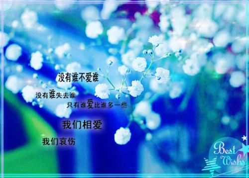 （姜棉段星帆）全文免费阅读无弹窗大结局_（段星帆姜棉阅读无弹窗）姜棉段星帆最新章节列表（段星帆姜棉）