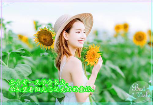 三分瘾周庭柯高质量小说小说全文/全集/电子书/大结局（三分瘾周庭柯高质量小说）白音洛周庭珂阅读 耽美微白音洛周庭珂