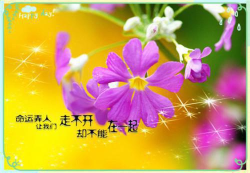 回归豪门后，方平安（方平安，方清妍）全文免费阅读无弹窗大结局_（方平安，方清妍免费阅读全文大结局）最新章节列表（方平安，方清妍）