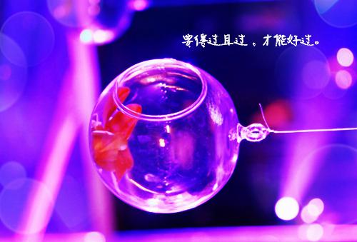 叶迟宛陈见津小说热文（陈见津叶迟宛）在线免费阅读无弹窗_叶迟宛陈见津最新章节阅读全文（陈见津叶迟宛）
